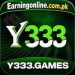 Y333 Game Icon